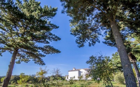 Your holiday villa is set in a large private finca